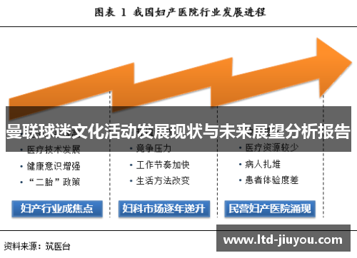 曼联球迷文化活动发展现状与未来展望分析报告