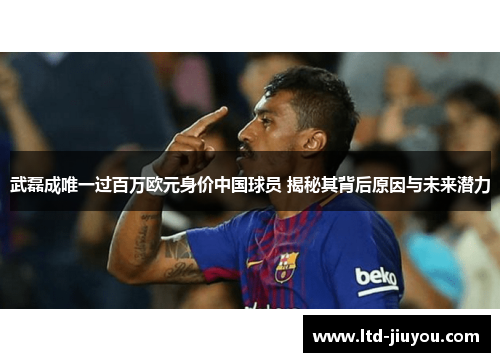 武磊成唯一过百万欧元身价中国球员 揭秘其背后原因与未来潜力
