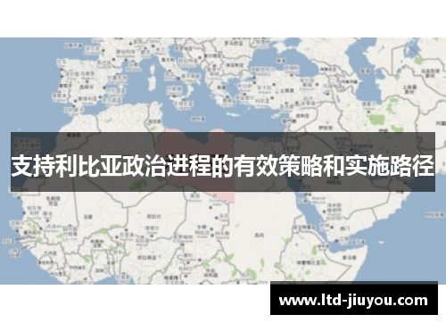 支持利比亚政治进程的有效策略和实施路径