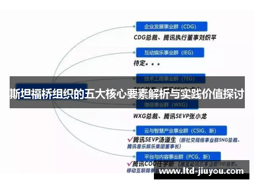 斯坦福桥组织的五大核心要素解析与实践价值探讨