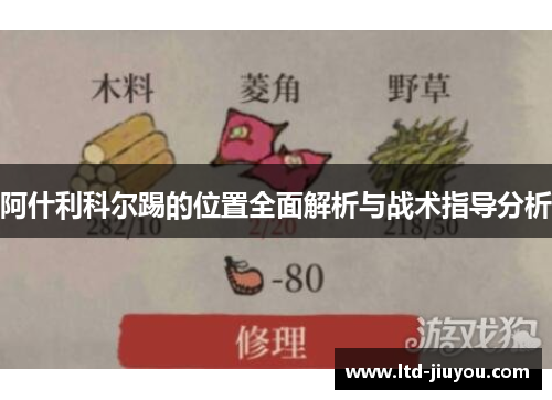 阿什利科尔踢的位置全面解析与战术指导分析